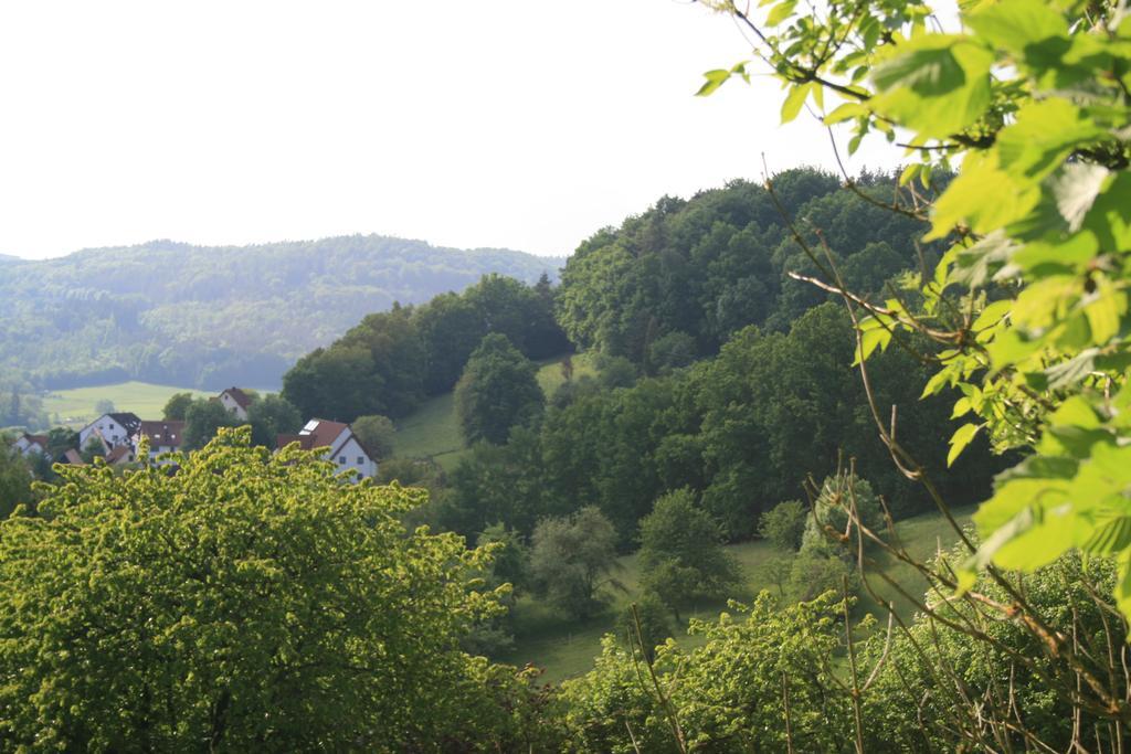 Landidyll Hotel Zum Alten Schloss Kirchensittenbach Zimmer foto